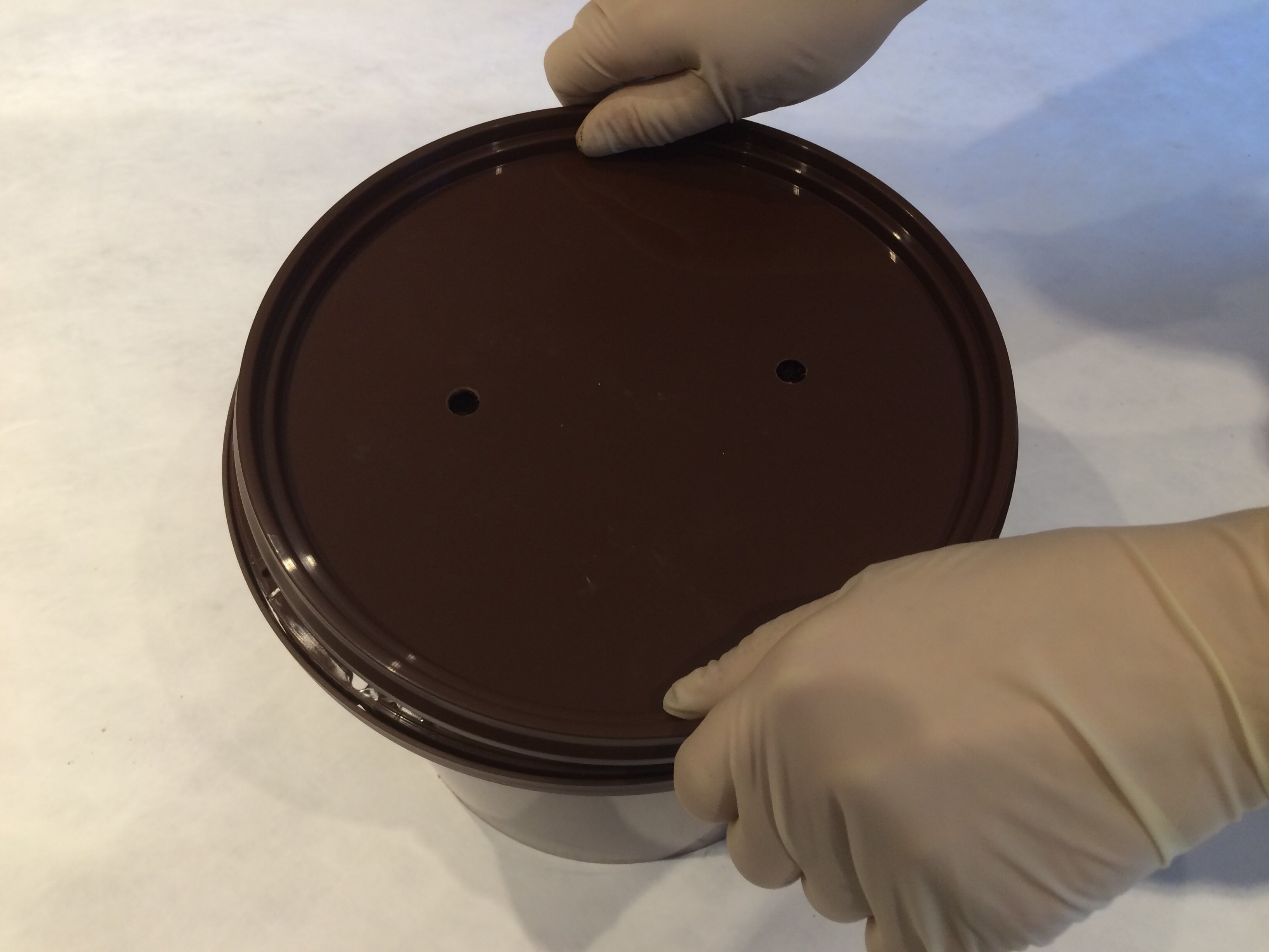 Pilze auf Kaffeesatz züchten